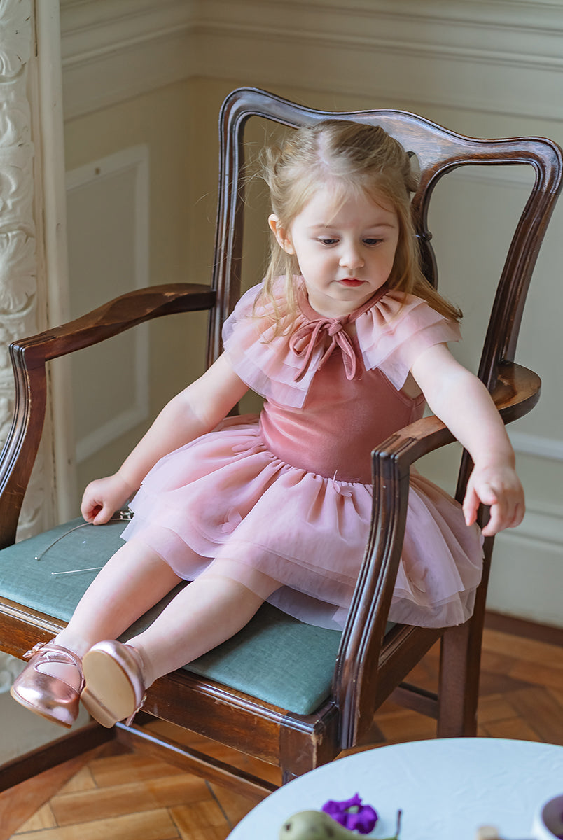 Whitby Tulle Dress & Collar Set, Velvet Pink – view 5