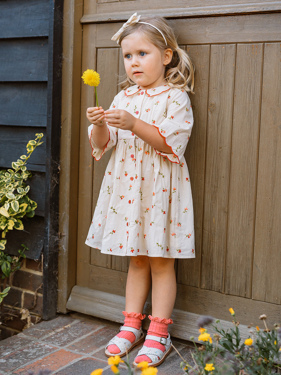 Birmingham Dress Tulips
