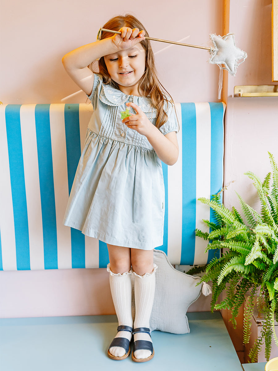 Havana Embroidered Dress Sky Blue